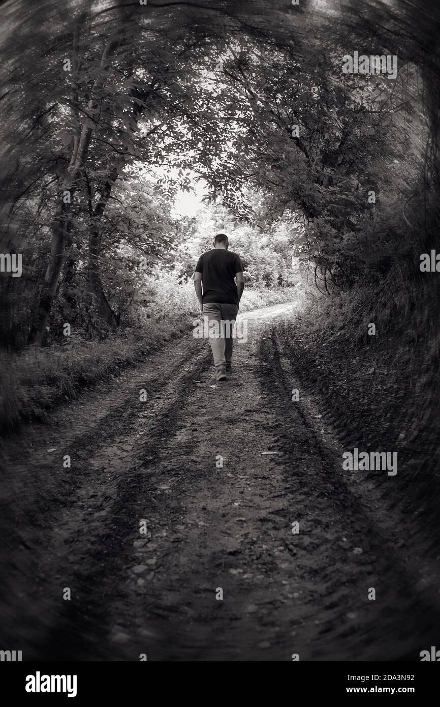 Rückansicht eines Mannes, der auf einem Pfad durch den Wald geht. Stockfoto