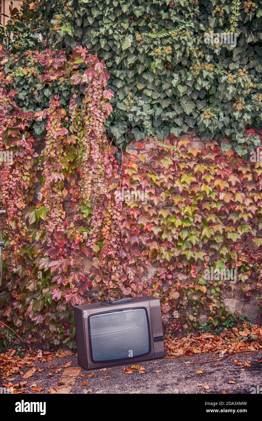 TV tragbares altes Gerät gegen eine schöne Wand verlassen Herbstlicher Efeu entlang der Straße Stockfoto