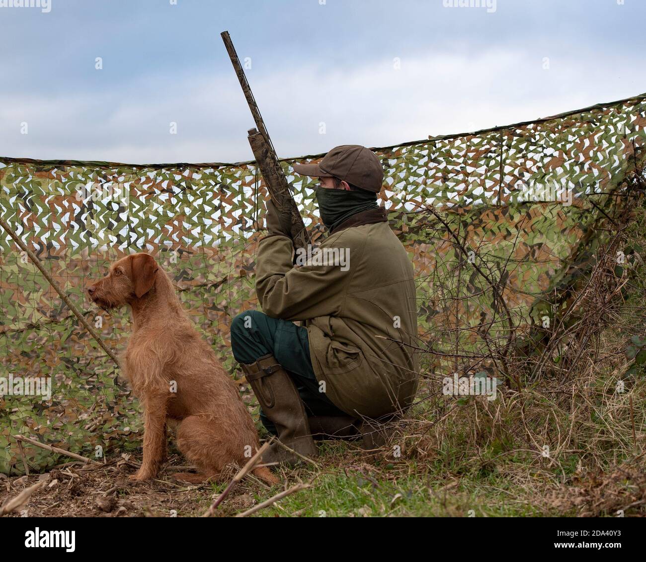 Mann und Hund Taubenschießen Stockfoto