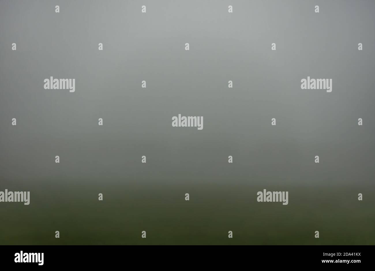 Sehr nebliger Morgen im öffentlichen Park Stockfoto