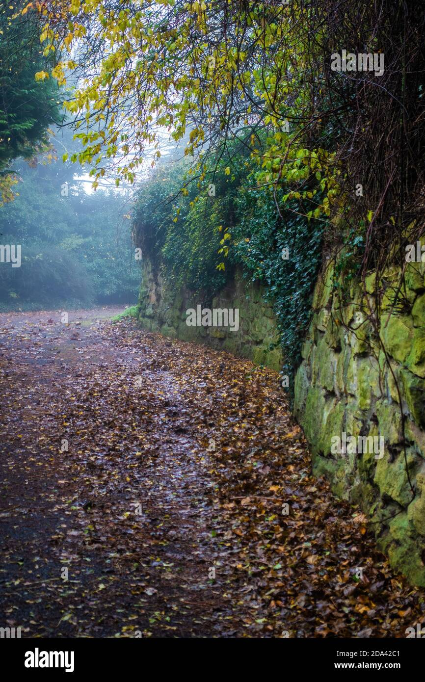 Steiler Weg im Dorf bedeckt mit nassen Winterblättern Stockfoto