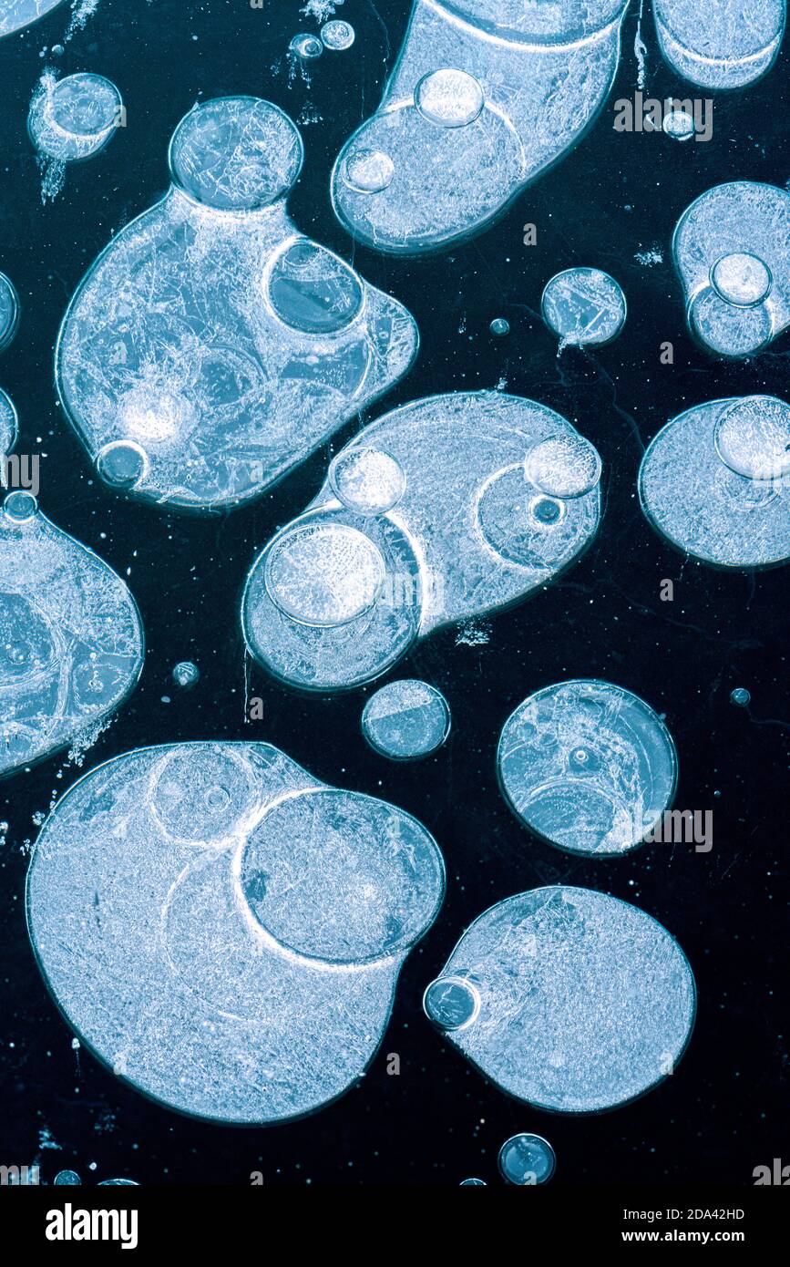 Nahaufnahme von Gasblasen aus Methan, die im Eis auf gefrorenen Eis gefangen sind lake Surface Stockfoto