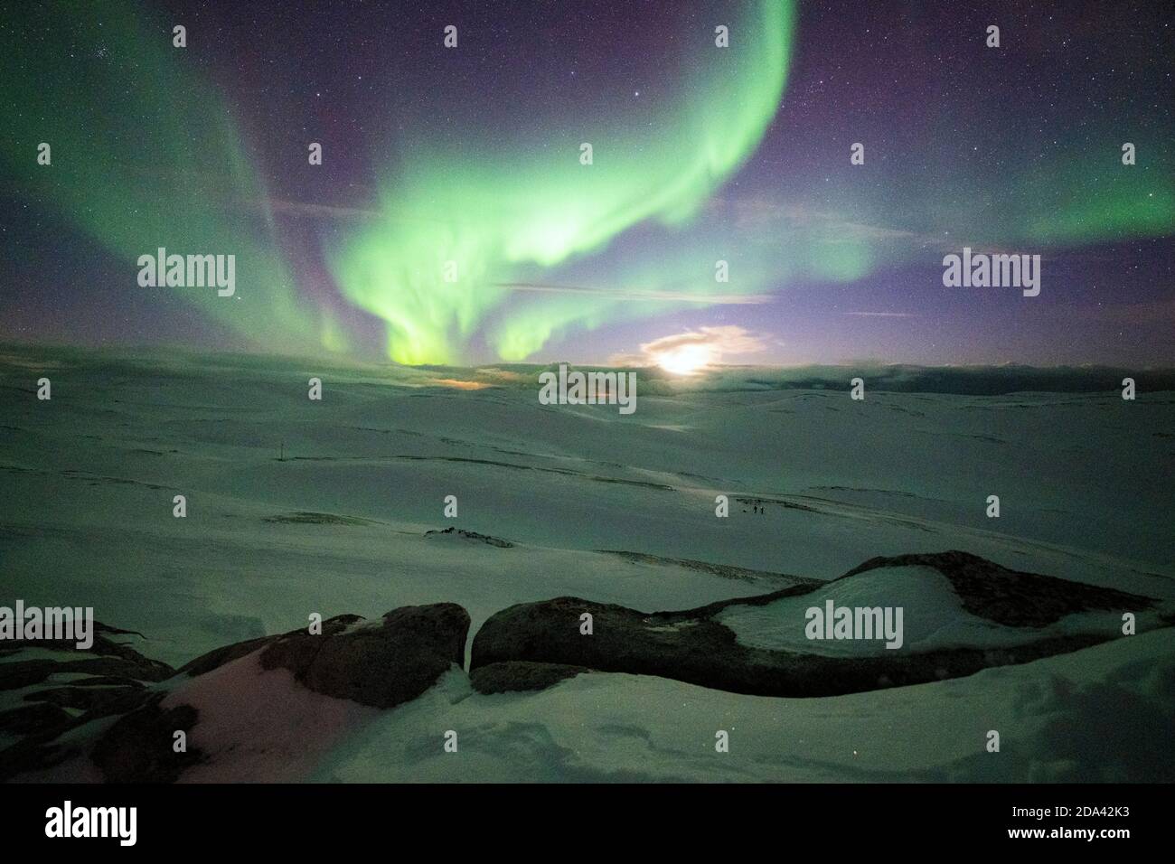 Schneebedeckte Landschaft vom Mond am Sternenhimmel während Nordlichter, Skarsvag, Nordkapp, Troms Og Finnmark, Norwegen beleuchtet Stockfoto