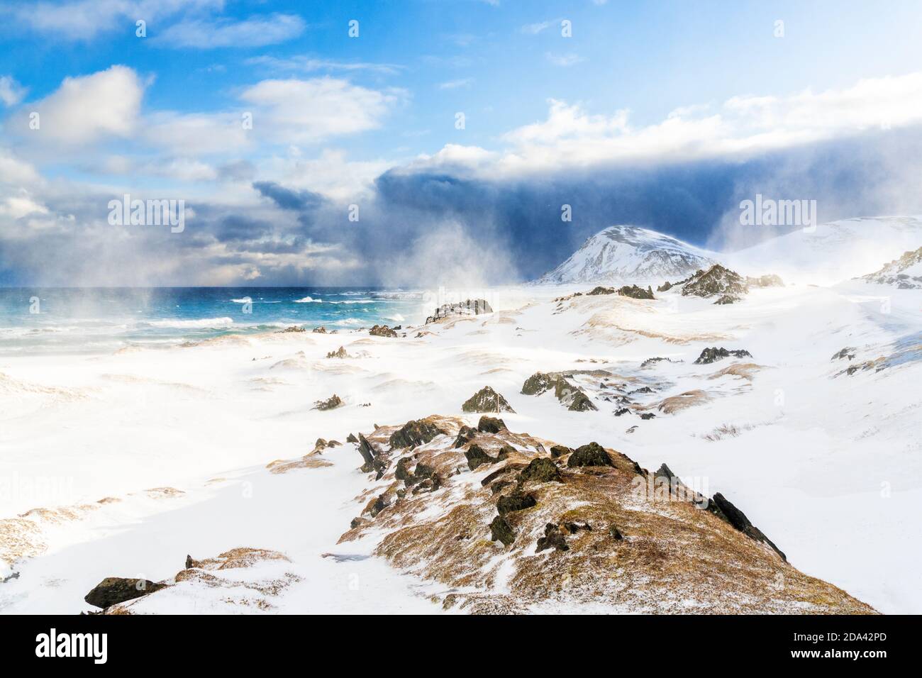 Wellen des arktischen Meeres krachen während eines Schneesturms auf die verschneite Landschaft, Sandfjorden, Berlevag, Varanger Peninsula, Finnmark, Norwegen Stockfoto