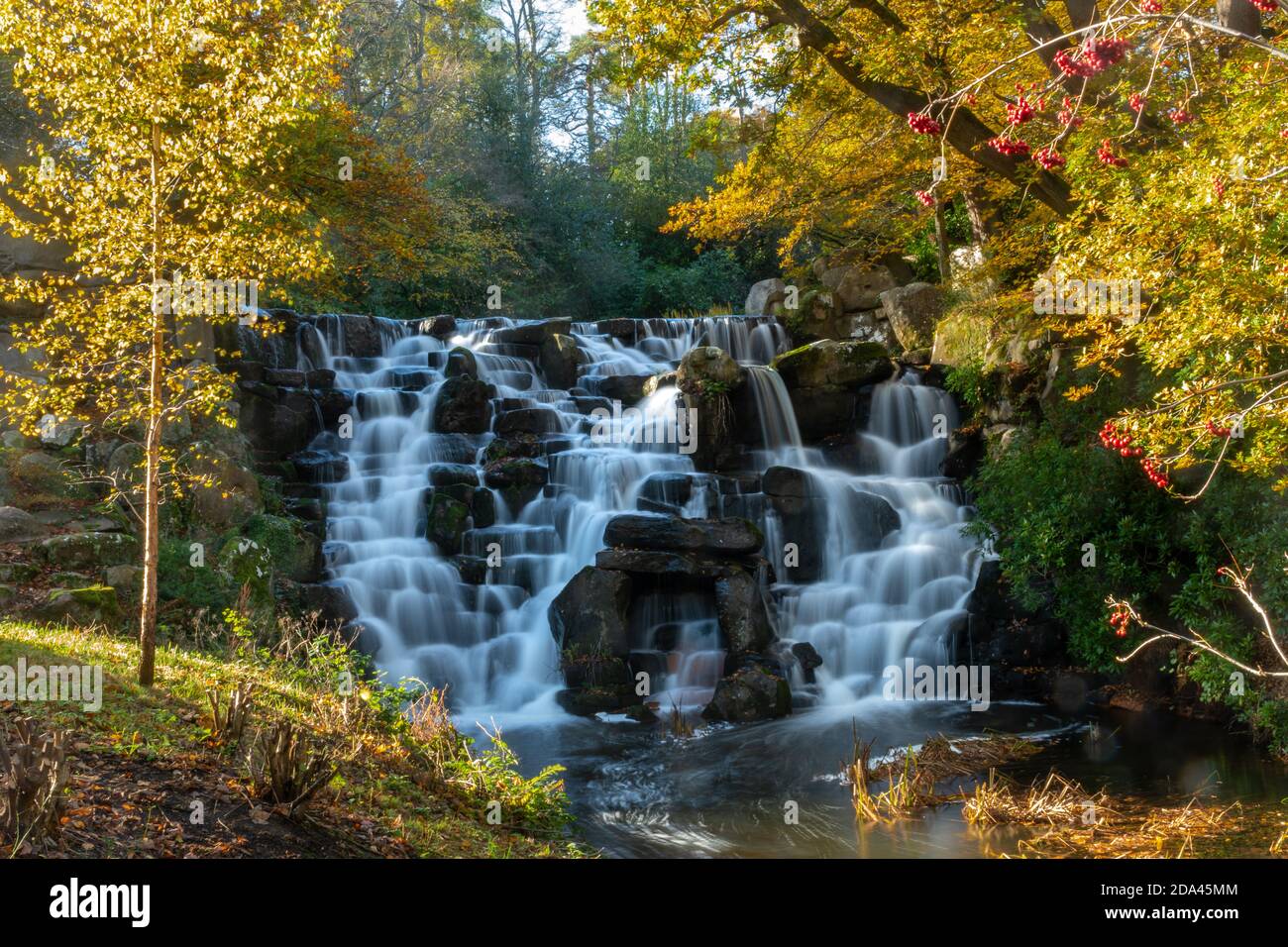 Die Zierkaskade oder der Wasserfall am Virginia Water Lake im Windsor Great Park im Herbst, England, Großbritannien Stockfoto