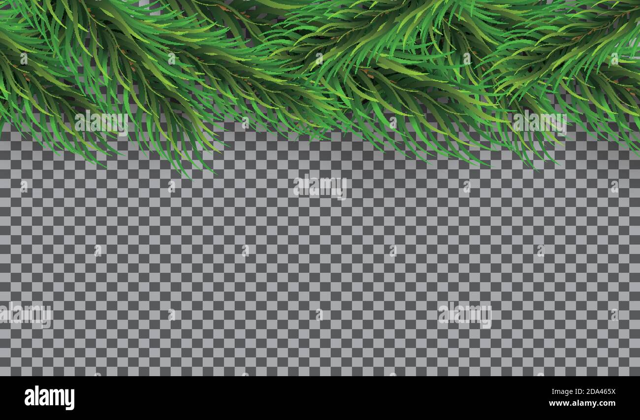 Weihnachtliche Grenze mit Tannenzweigen auf transparentem Hintergrund. Vektorgrafik. Kiefernzweige oben. Stock Vektor