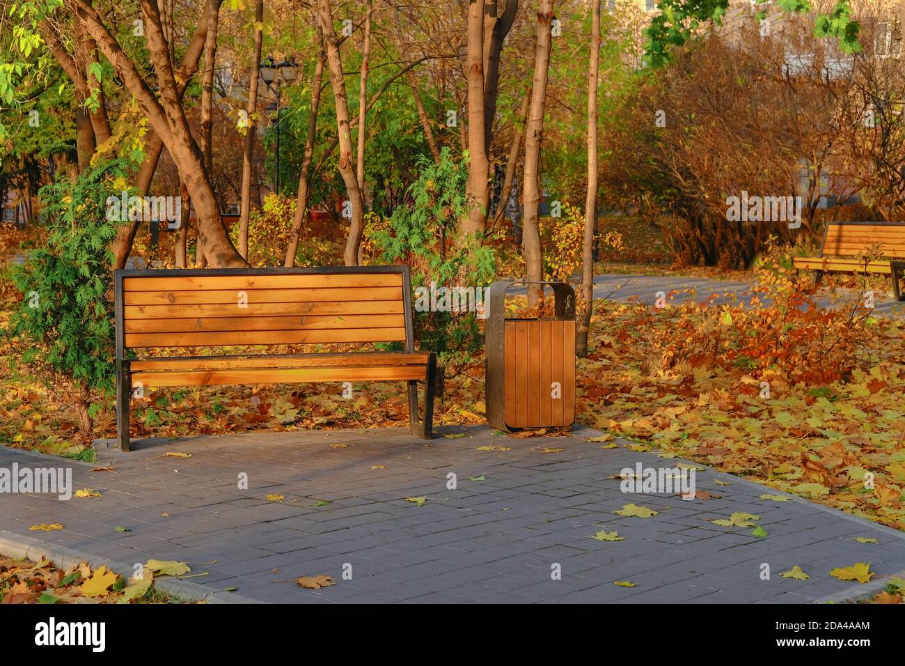 Robuste moderne urbane Straßenholzmöbel. Leere Holzbank und Urne auf hellem Herbstlaub Hintergrund im öffentlichen Park. Blatt fallen in der Stadt. Stockfoto