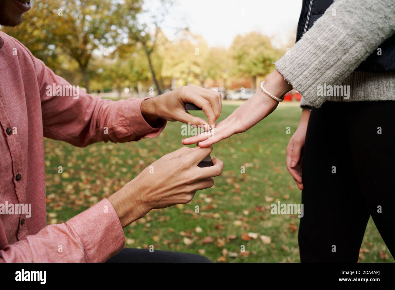 Kniender Mann, der seine Freundin mit einem Ring in einem Park heiratet. Liebeskonzept Stockfoto