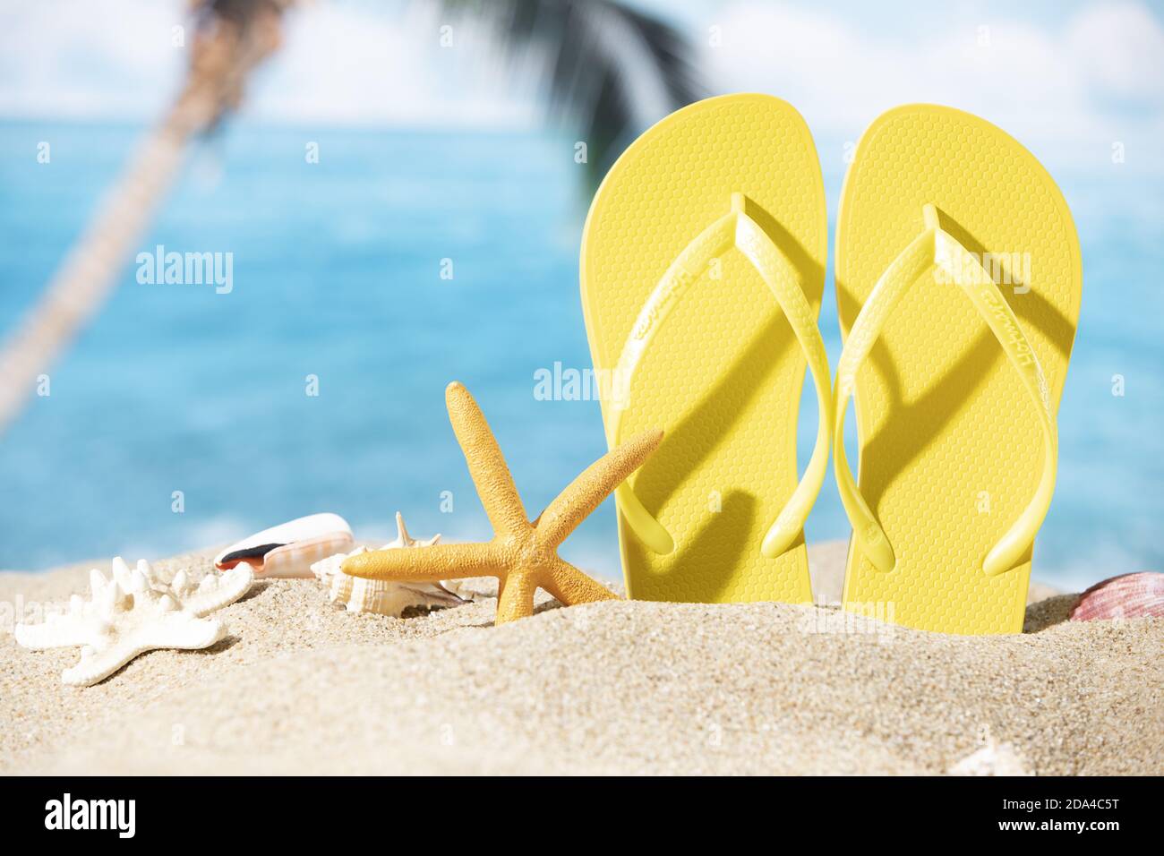 Ein Paar gelbe Pantoffeln in den Sand mit Seesternen gelegt Auf dem Meer und Palmen Hintergrund Stockfoto