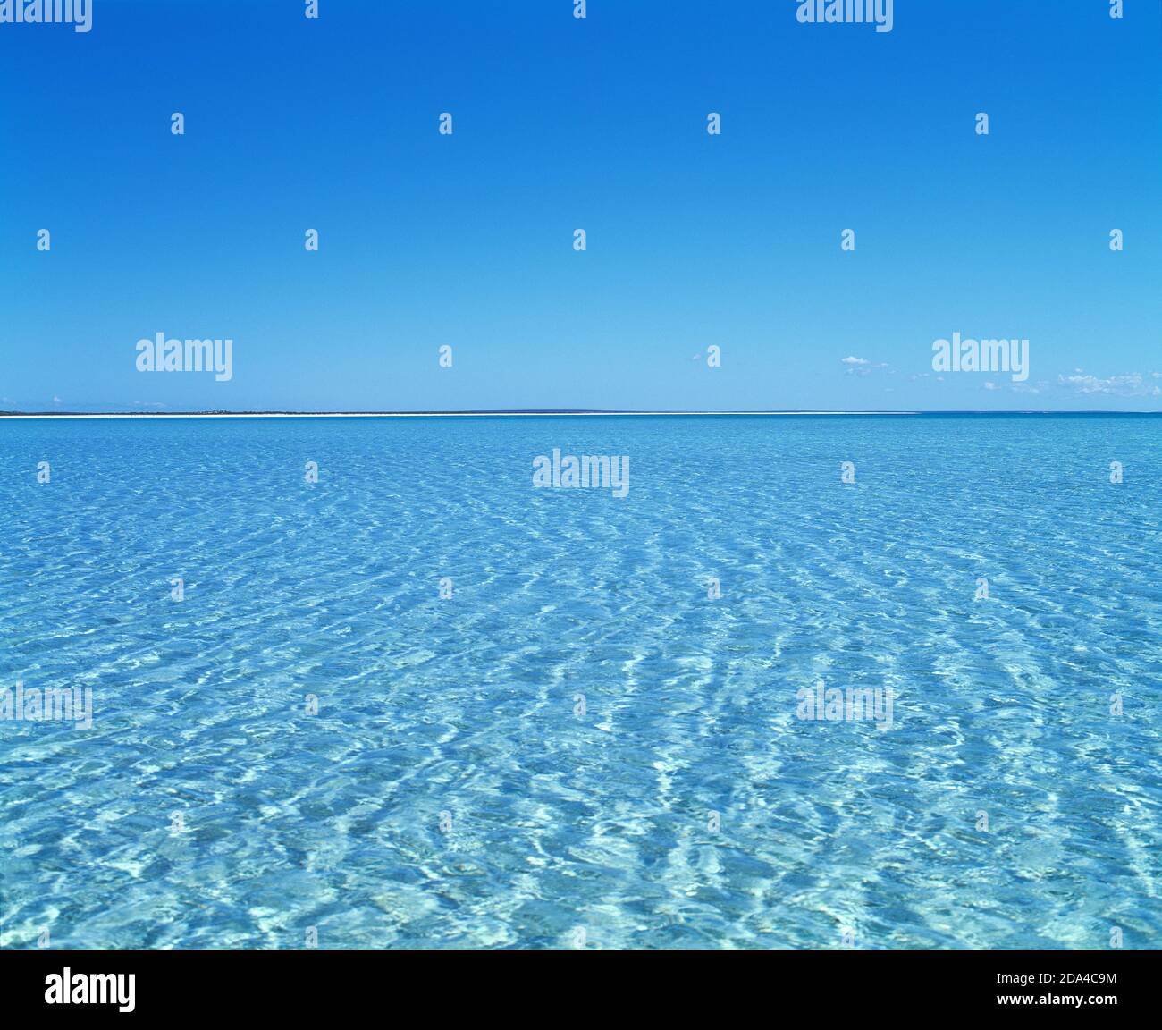 Westaustralien. Shark Bay. Fernsicht auf Shell Beach. Stockfoto