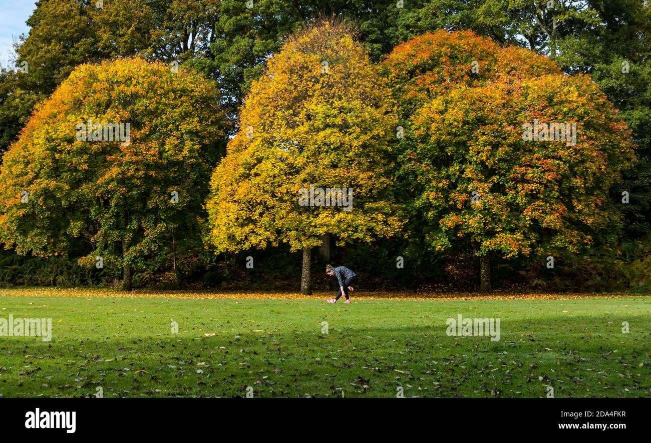 Frauen trainieren im Mungall Park mit Herbstbäumen, Crieff, Perthshire, Schottland, Großbritannien Stockfoto