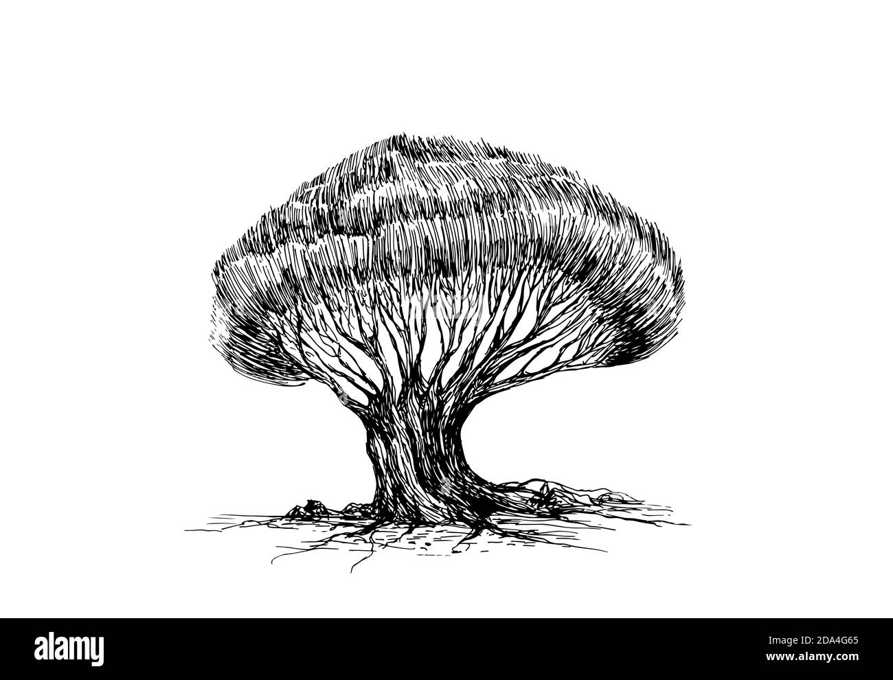 Realistische Skizze eines Baumes mit vielen Ästen und einer üppigen Krone, isoliert auf weißem Hintergrund. Stock Vektor