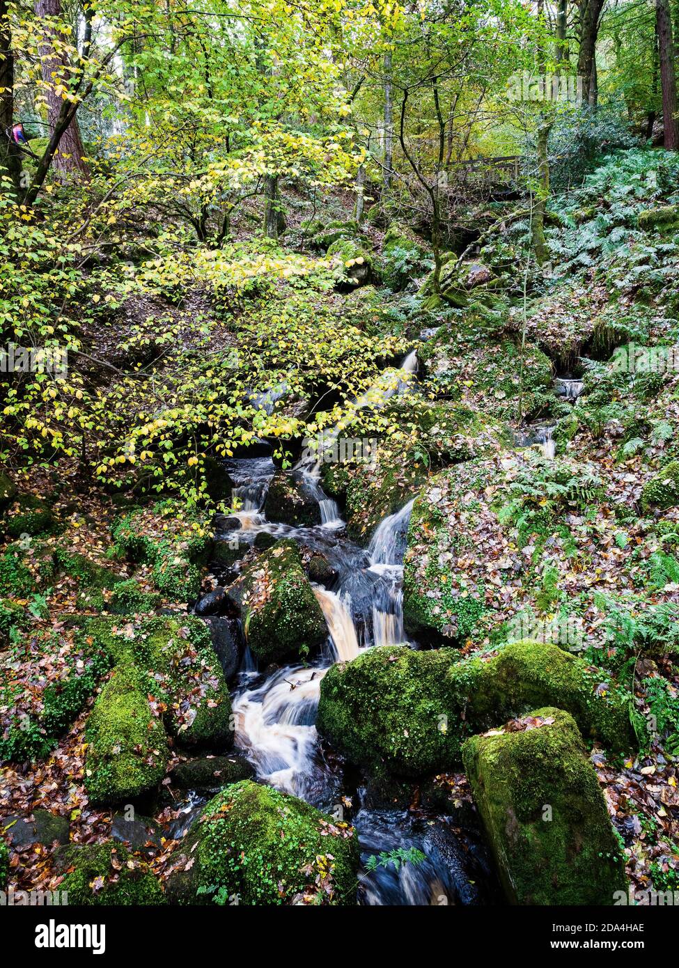 Waldwasserfall, der durch Felsbrocken fließt, im Herbst in einem Wald. Hebers Ghyll. Ilkley. Yorkshire Stockfoto