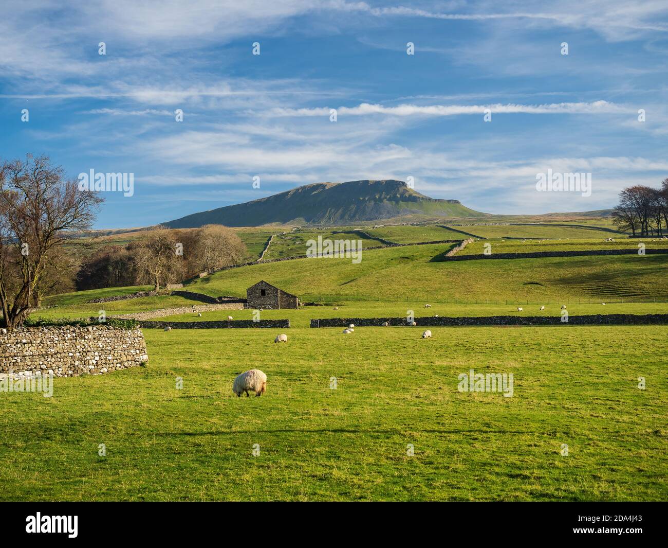 Pen-y-gent. Mit 2277 Fuß ist es einer der drei Gipfel der Yorkshire Berge. Yorkshire Dales National Park Stockfoto