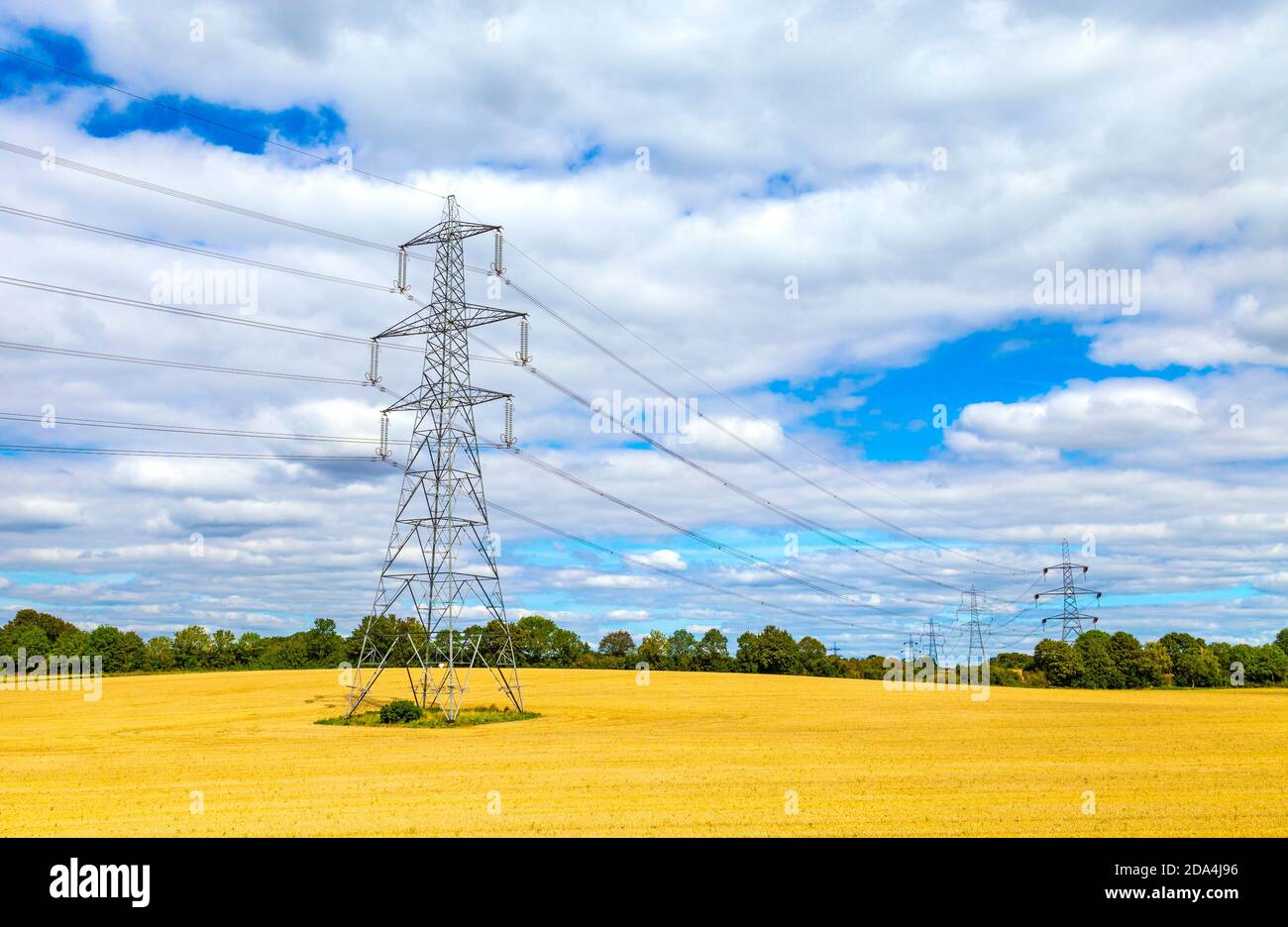 Stromleitungen und Strommasten gehen durch ein Feld in der Nähe von Baldock und Letchworth Garden City, Hertfordshire, Großbritannien Stockfoto