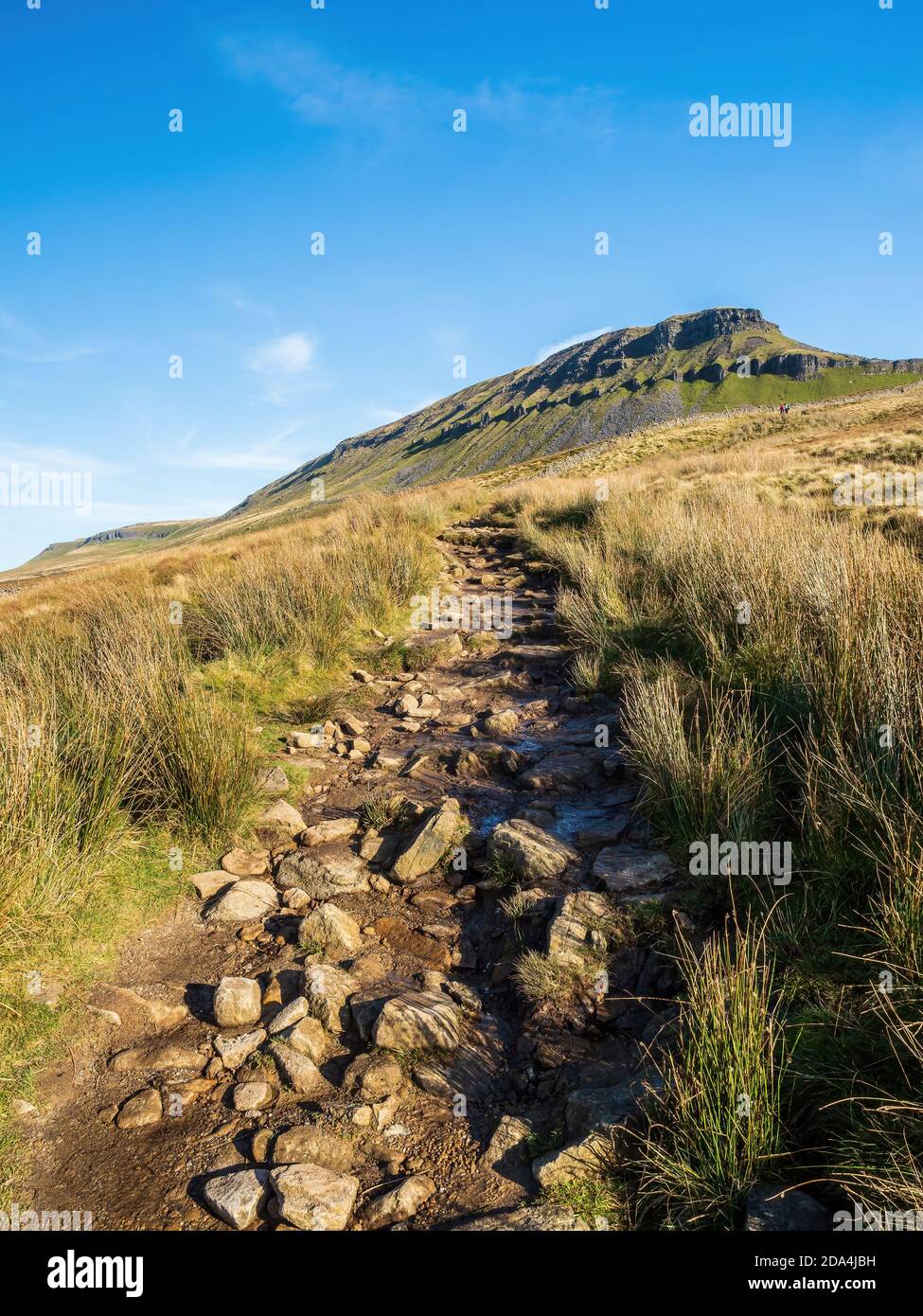 Pen-y-gent Berg mit Pfad und Stufen. Mit 2277 Fuß ist es einer der drei Gipfel der Yorkshire Berge. Yorkshire Dales National Park Stockfoto