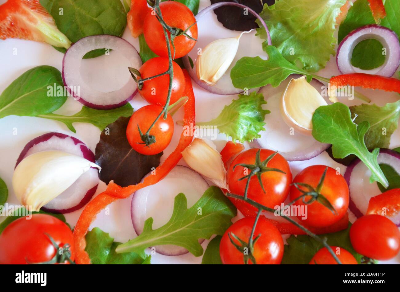 Bunte Salat Zutaten Muster aus Tomaten, Ruccola, lila Zwiebelringe, rote Paprika, Chili, Knoblauch, Gurkenscheiben und Basilikum auf weiß Stockfoto