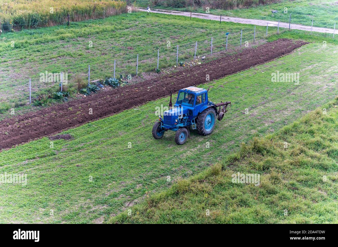 düngen hochbeet Hochbeet Dünger main image 0