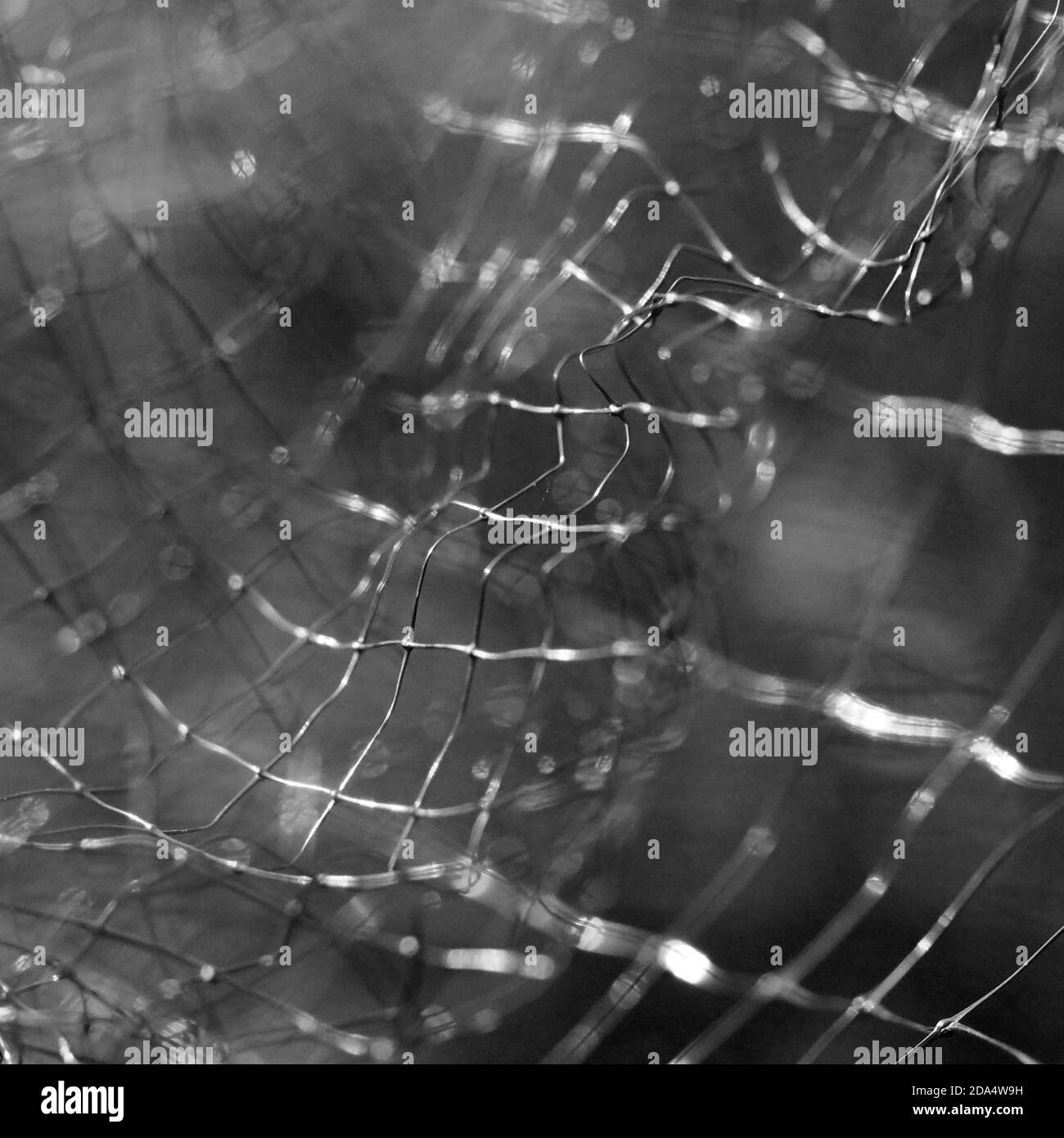 Cage Caged Schwarzweiss Stockfotos Und Bilder Seite 2 Alamy