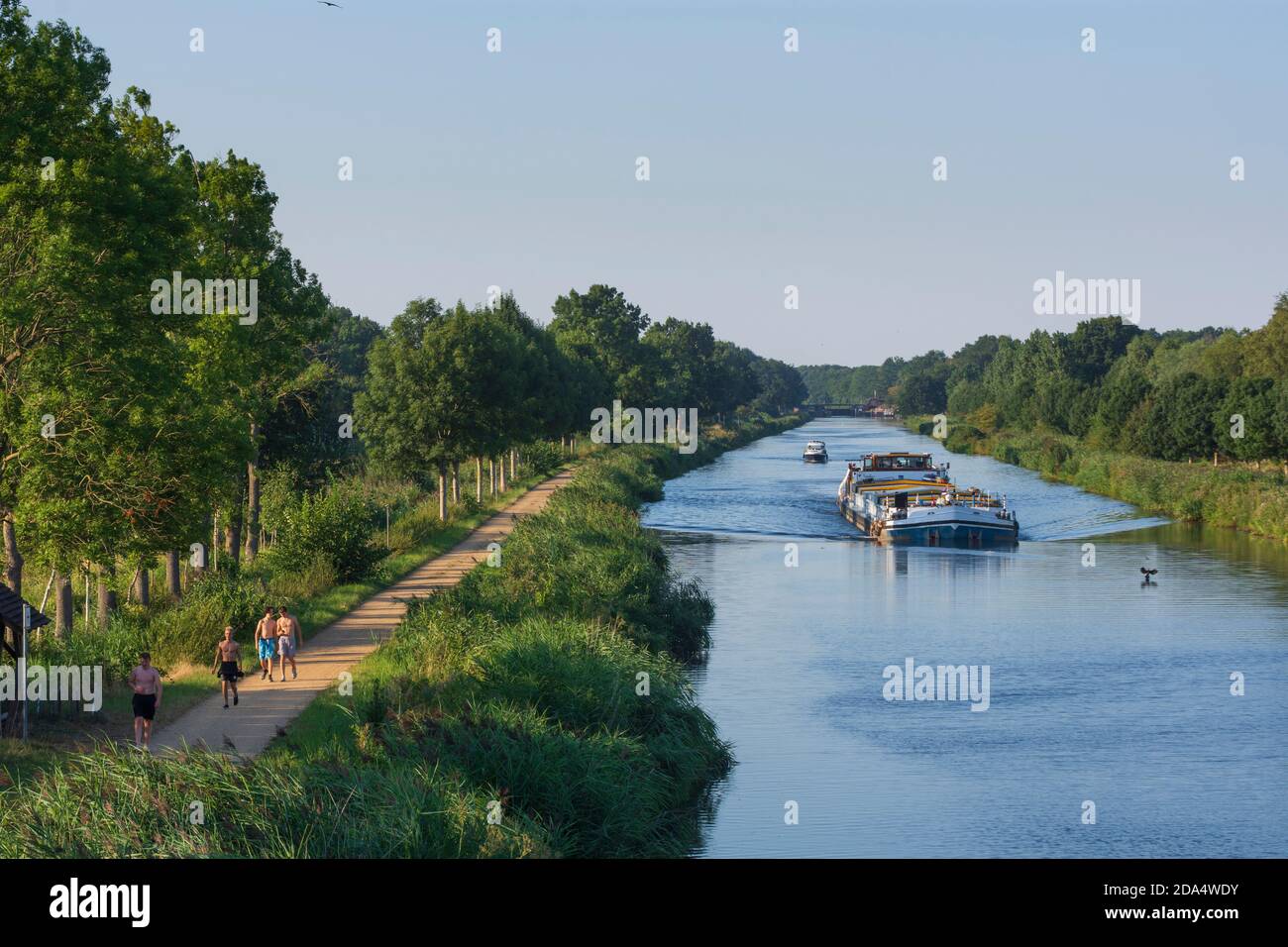 Dalldorf: Elbe-Lübeck-Kanal, Frachtschiff, Herzogtum Lauenburg, Schleswig-Holstein, Deutschland Stockfoto