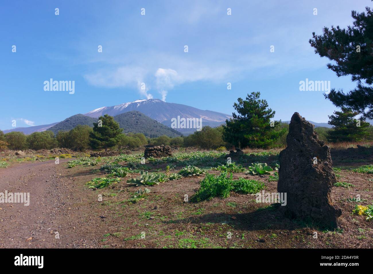 Rauchsäulen aus Gipfelkrater des Ätna Vulkan Wahrzeichen der Natur in Sizilien und Outdoor-Tourismus Stockfoto