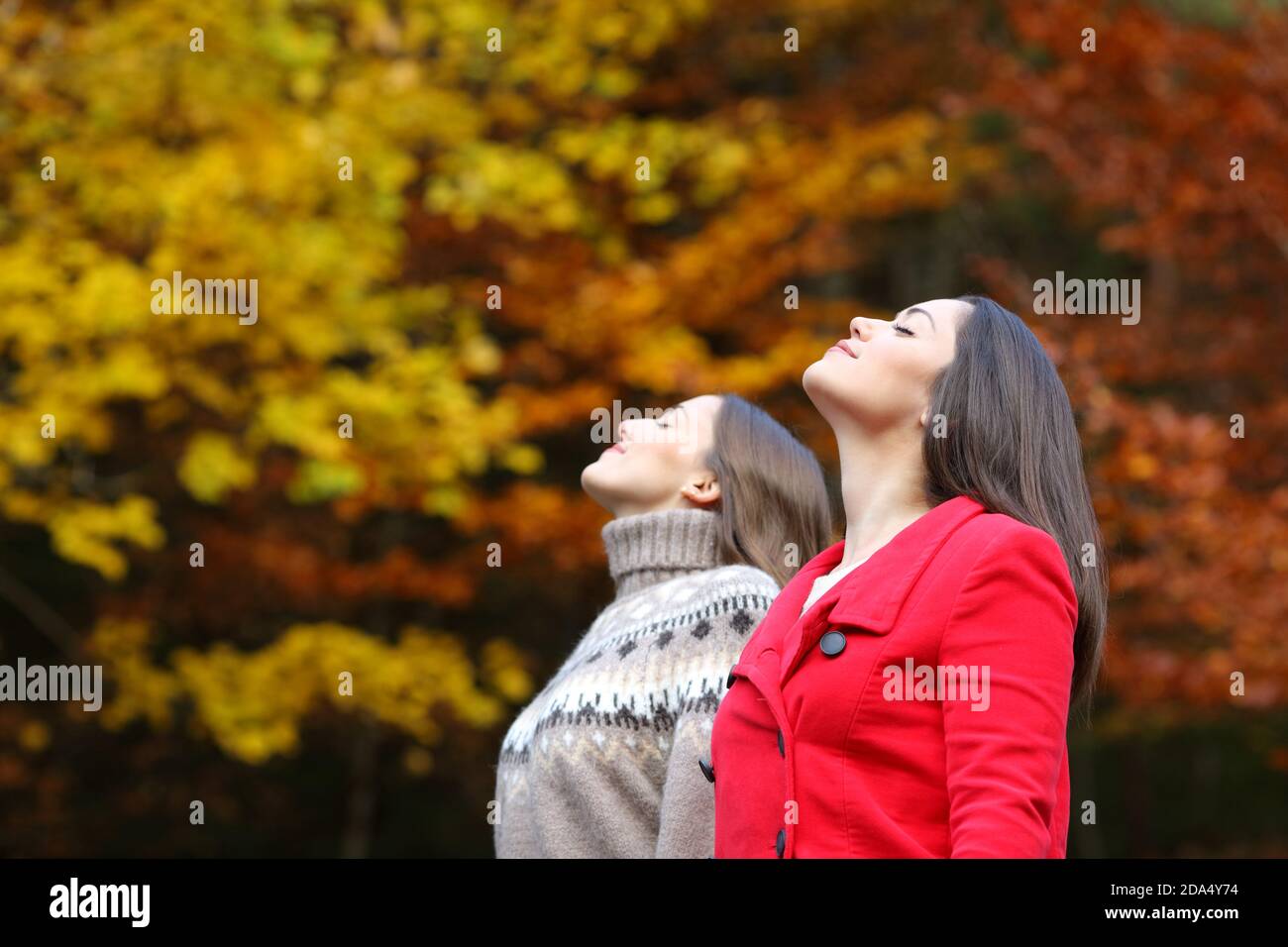 Profil von zwei Frauen, die im Herbst frische Luft einatmen Ein wunderschöner Wald Stockfoto