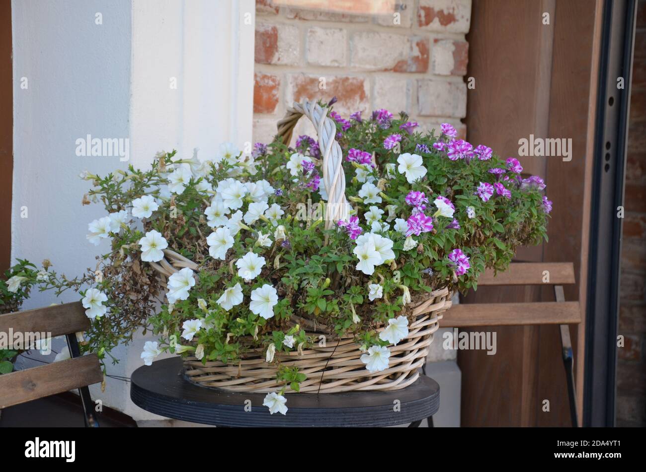 Ein Korb mit leuchtend rosa und roten Blumen hängt am Fenster eines Hauses in einem alten Gebäude in Frankreich, umgeben von schönen Mustern im Stein Stockfoto
