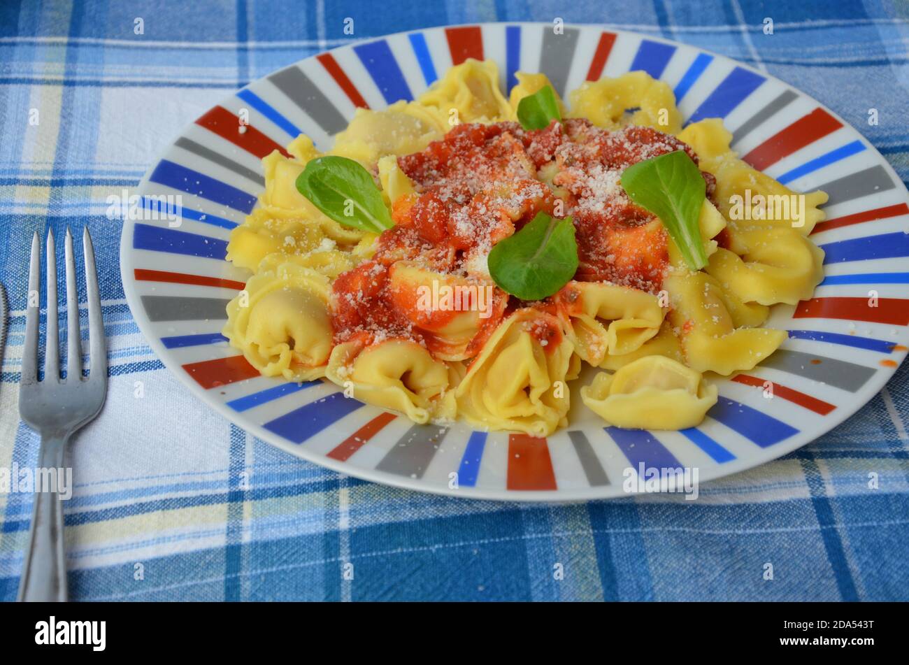 Hausgemachte Tortellini Pasta mit Tomatensauce, Kräutern und Knoblauch, Basilikum in, mit Parmesan-Käse gekrönt Stockfoto