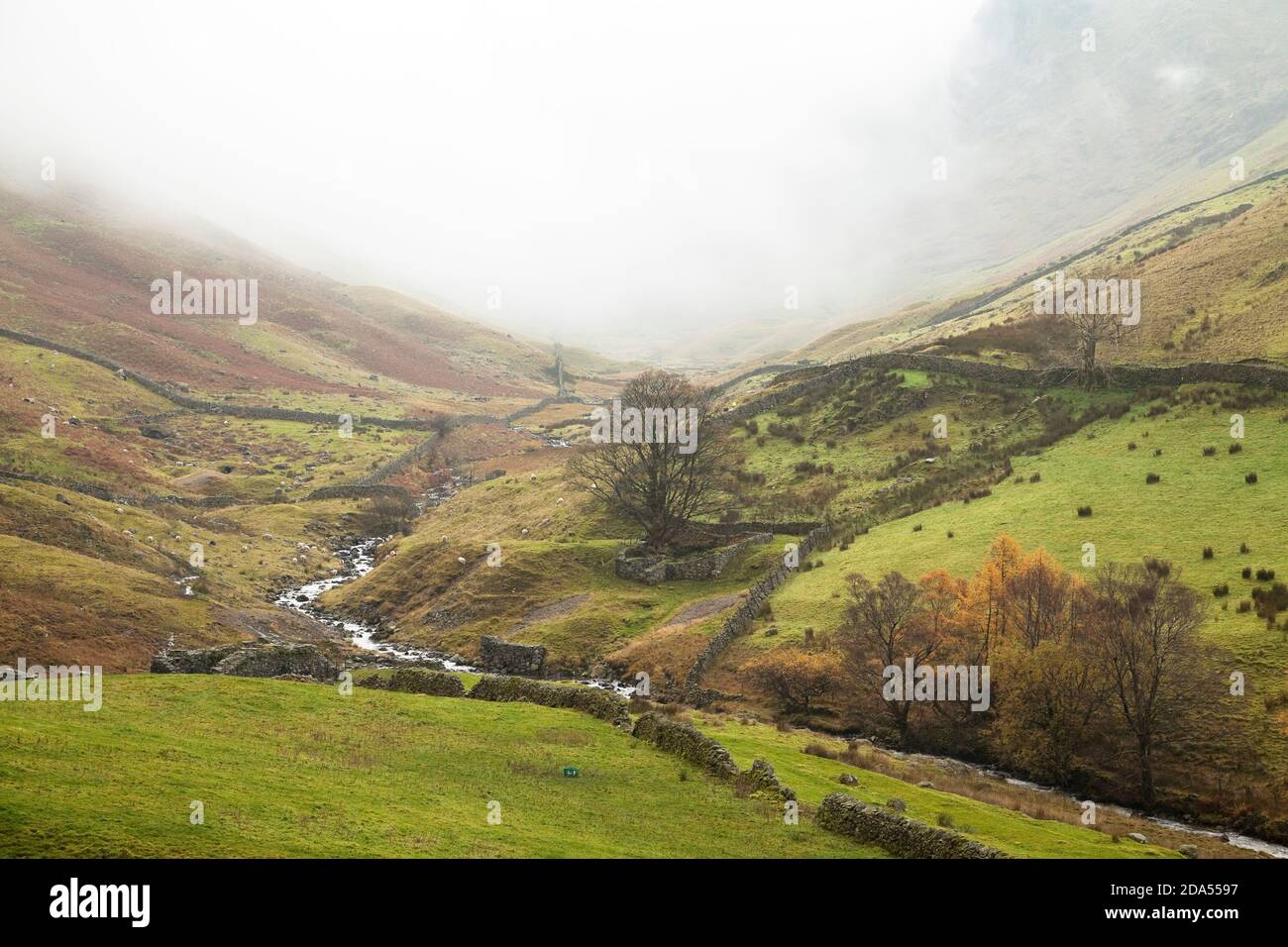 Die Weide unteren Tal und das Hartsop-Tal, im englischen Lake District Stockfoto