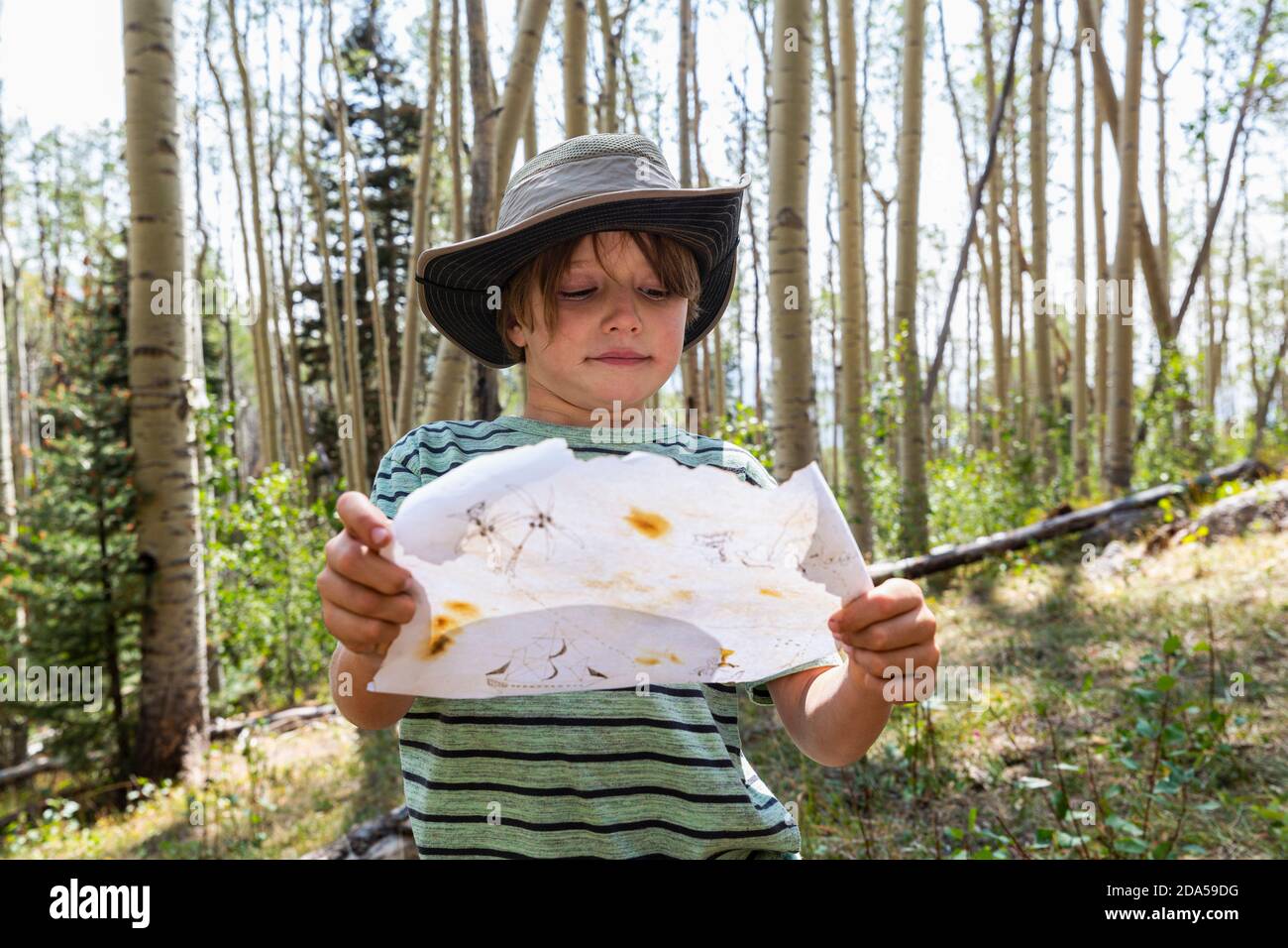 7 Jahre alter Junge hält Schatzkarte im Wald von Aspen Bäume Stockfoto