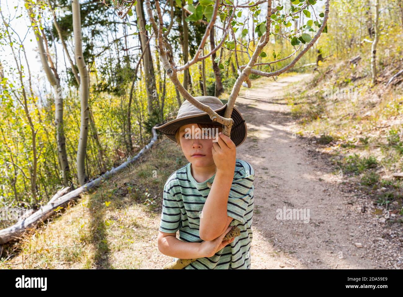 7 Jahre alter Junge hält gebrochenen Ast im Wald von Aspen Bäume Stockfoto