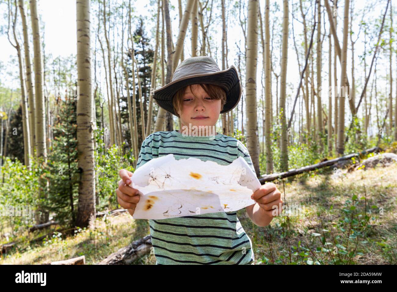 7 Jahre alter Junge hält Schatzkarte im Wald von Aspen Bäume Stockfoto