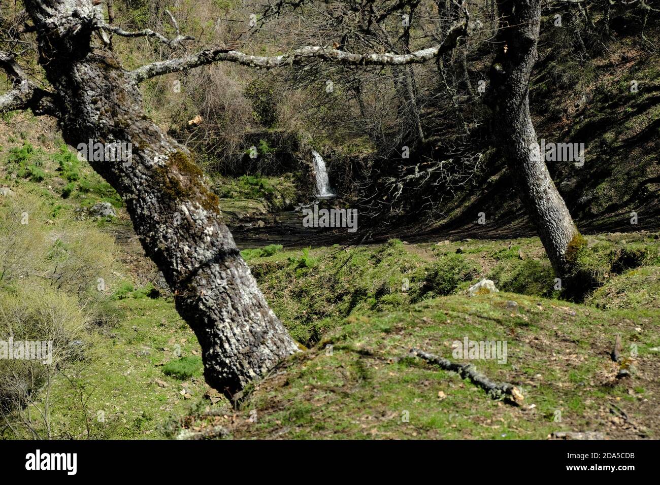 Frühlingskaskade des Zarbata Creek im Nebrodi Park, Sizilien Stockfoto