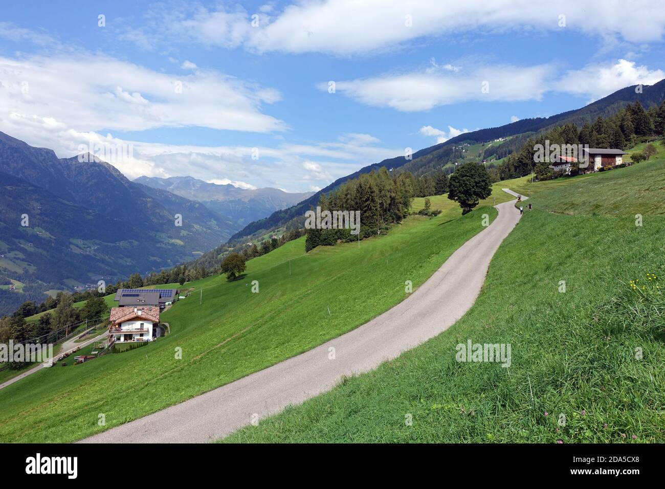 Wanderung oberhalb von Verdins mit Blick ins Passeiertal auf die Ötztaler Alpen, Schenna, Südtirol, Italien Stockfoto
