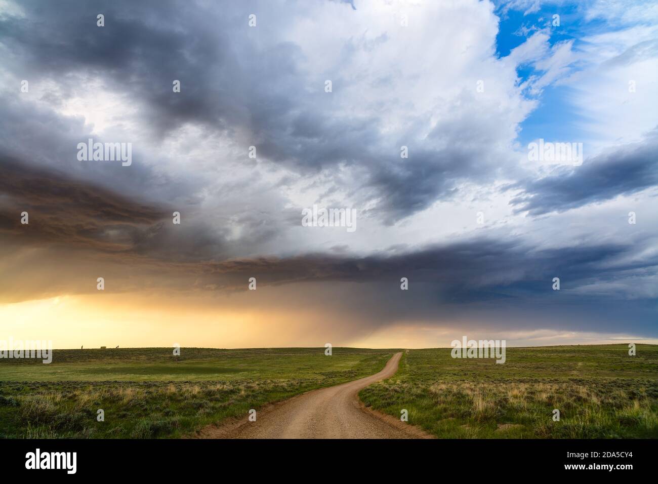 Unbefestigte Straße durch sanfte Hügel mit Sturmwolken im Thunder Basin National Grassland, Wyoming, USA Stockfoto