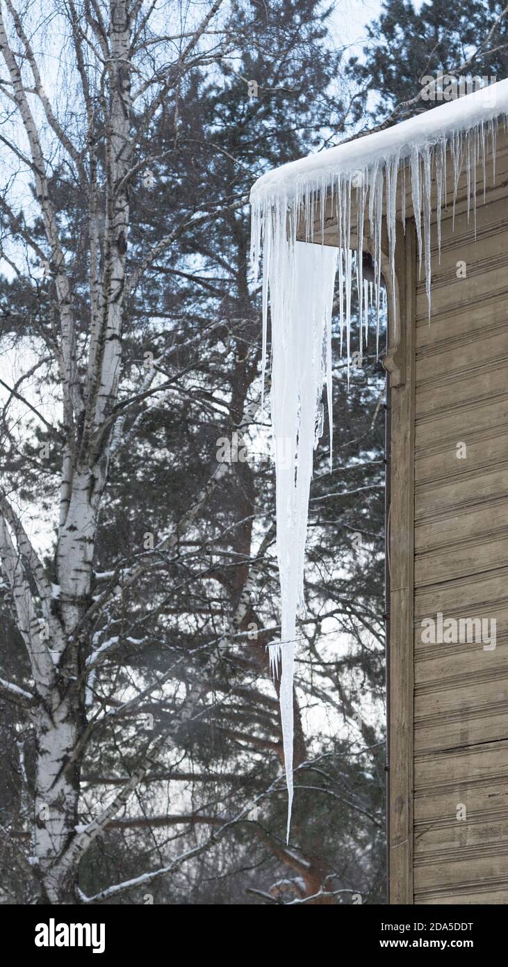 Eis Stalaktit hängen vom Dach mit Holzwand. Gebäude mit großen Eiszapfen bedeckt. Stockfoto