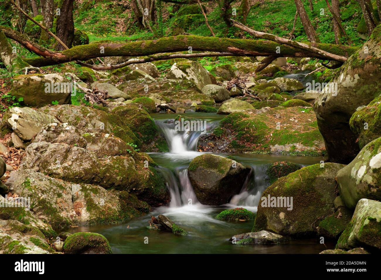 Seidige Kaskaden über moosigen Felsen im Malabotta Naturreservat, Sizilien Stockfoto