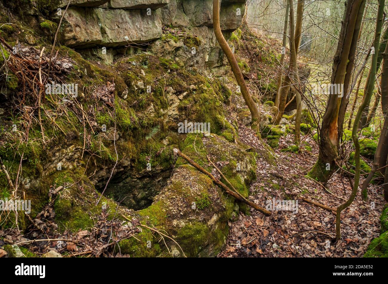 Offene Stope in einem alten Opencut für Bleibergbau bei Putwell Hill Mine oberhalb von Monsal Dale. Stockfoto