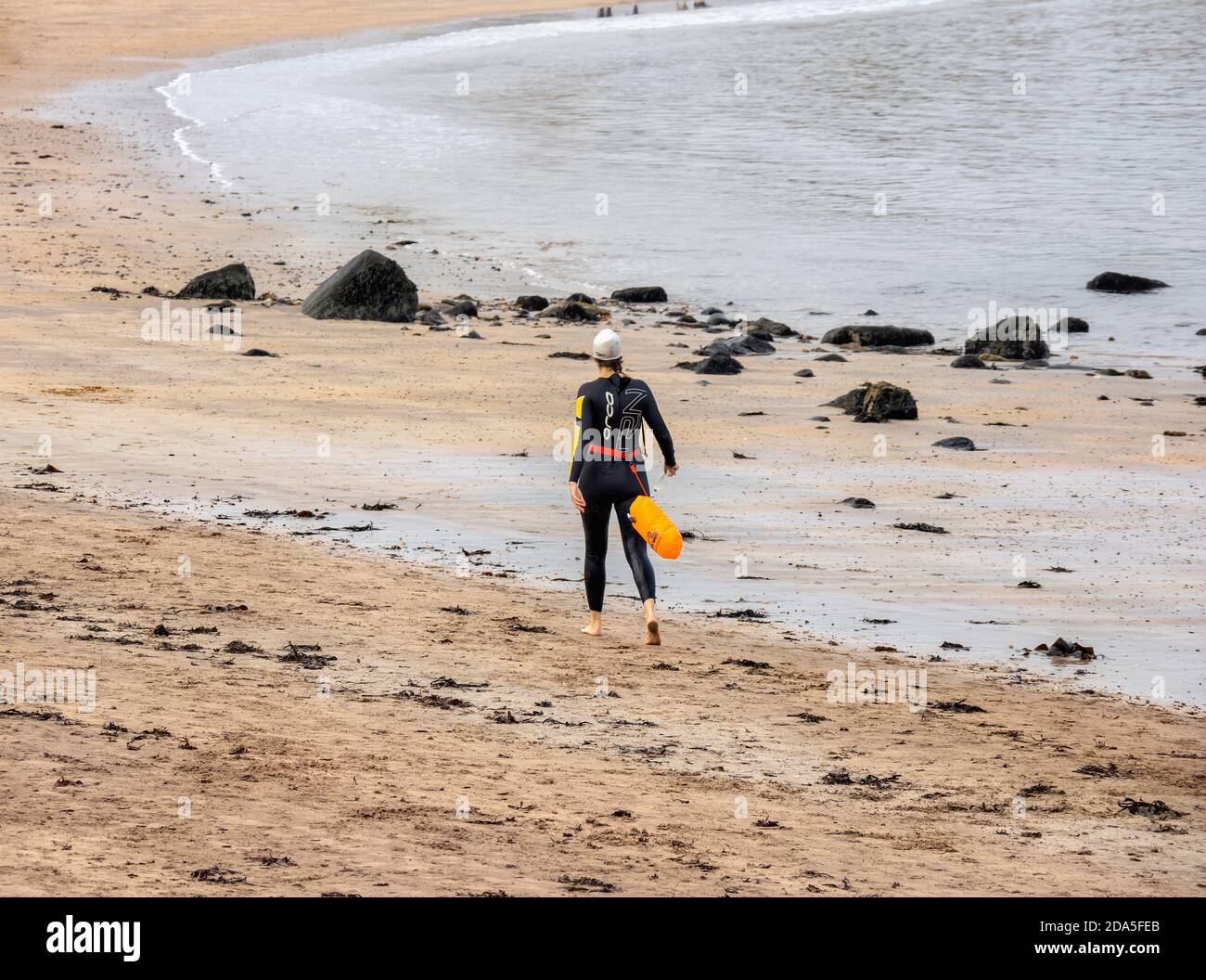 Frau am Strand mit Neoprenanzug und Badekappe, North Berwick, East Lothian, Schottland, Großbritannien. Stockfoto