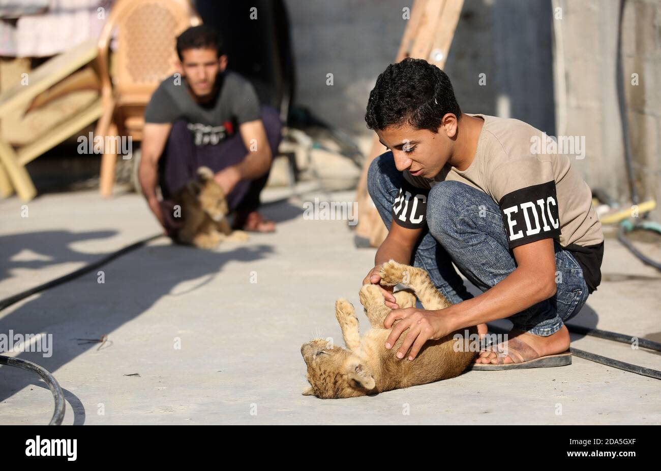 Khan Younis, Gaza. November 2020. Der Palästinenser Naseem Abu Jama, 27 (L) und sein Bruder Bassam tragen am Montag, den 9. November 2020, zwei Löwenjungen in ihrem Haus in Khan Younis im südlichen Gazastreifen. Abu Jameh kaufte Löwenjungen aus einem Zoo, der wegen schlechter wirtschaftlicher Bedingungen und des Virus geschlossen, Covid 19. Foto von Ismael Mohamad/UPI Credit: UPI/Alamy Live News Stockfoto