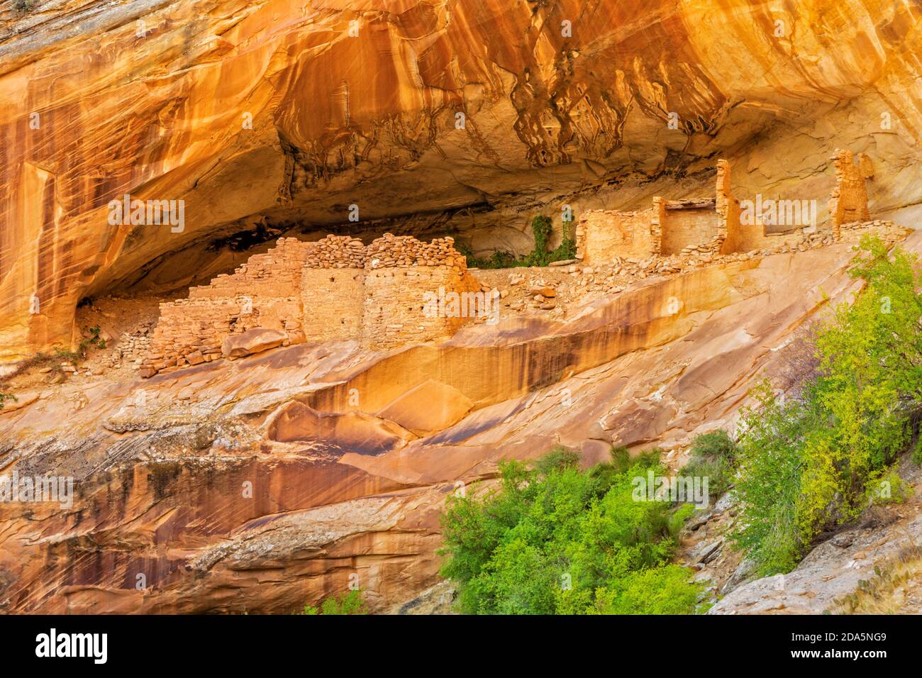 Gut erhaltenes Monarch Cave Cliff-Wohnhaus am Comb Ridge bei Butler Wash in Bears Ears National Monument liegt im Südosten Utahs. Stockfoto