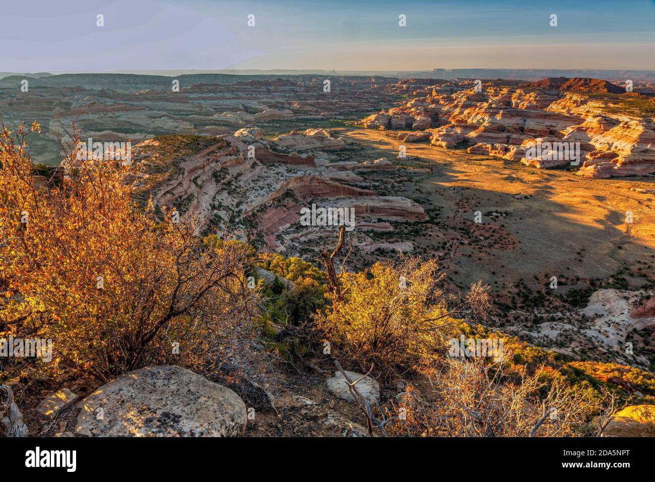 Blick auf Big Pocket und Salt Creek Canyon vom Cathedral Point im Needles District des Canyonlands National Park, Utah. Stockfoto