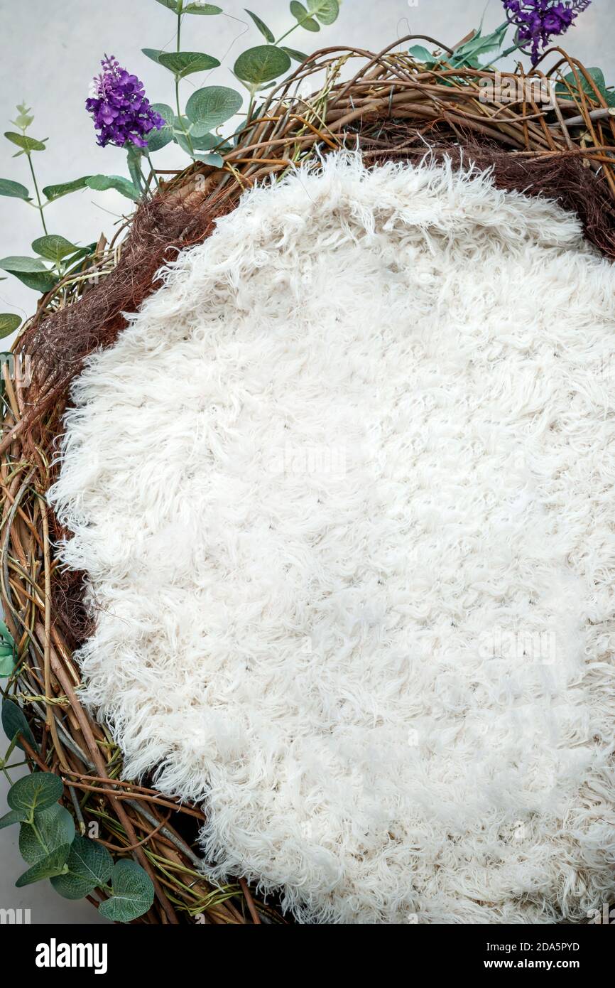 Neugeborene Fotografie digitale Kulisse eines Nestes, flauschige Füllstoff und grüne Blätter und lila Lavendel Stockfoto