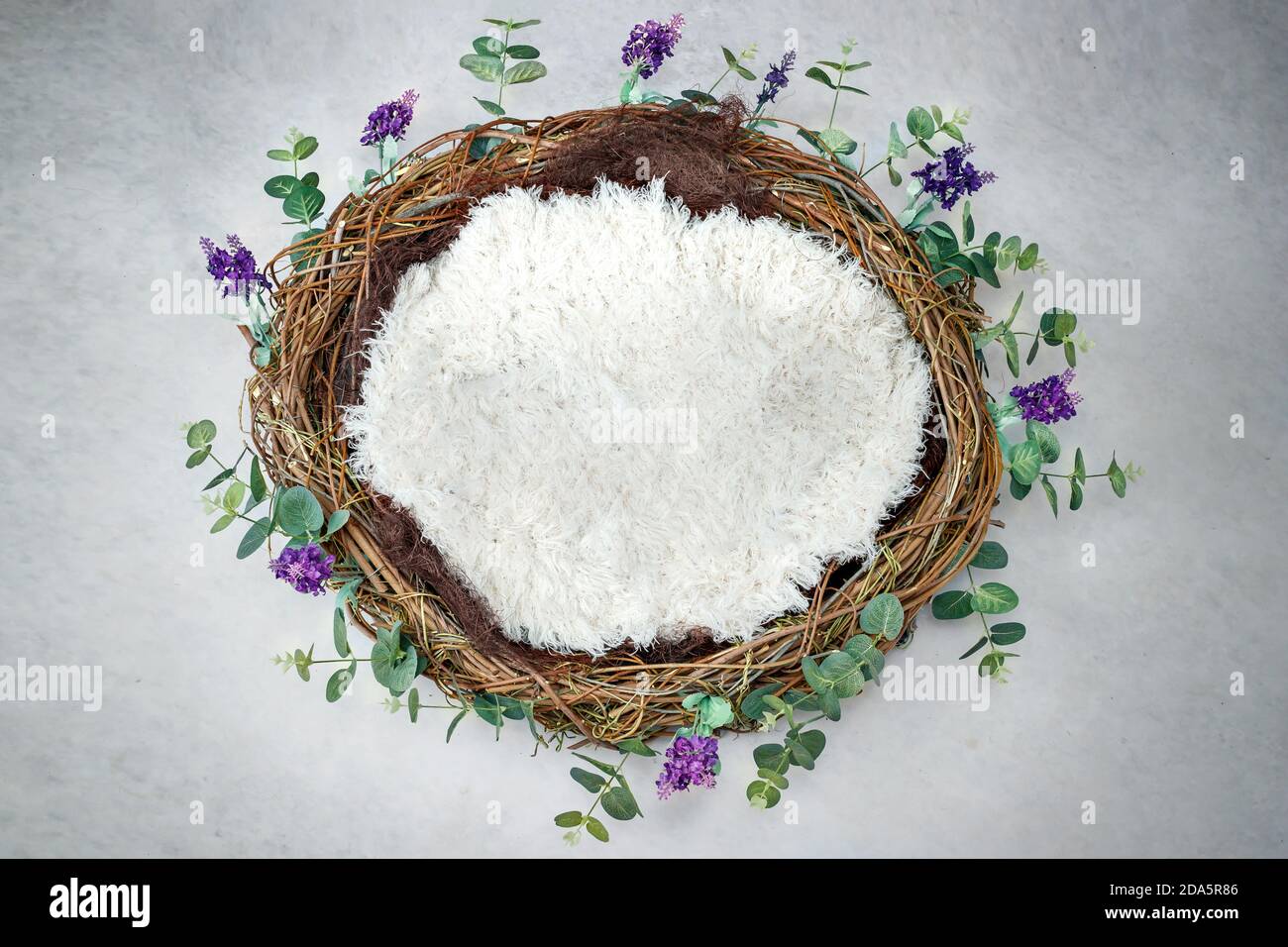 Neugeborene Fotografie digitale Kulisse eines Nestes, flauschige Füllstoff und grüne Blätter und lila Lavendel Stockfoto