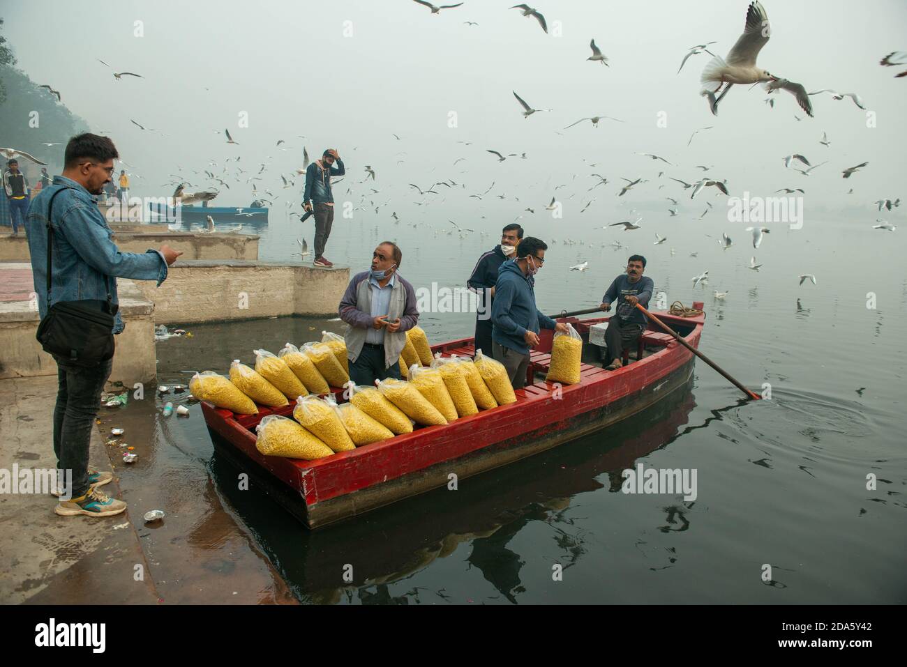 Neu Delhi, Indien. November 2020. Vogelfreunde, die Taschen von sev Namkeen in einem Boot tragen, um die Möwen zu füttern.EINE Schar von Möwen fliegt entlang des Yamuna Flusses bei Nigam Bodh Ghat. Während des Beginns der Wintersaison wandern Schwärme sibirischer Möwen durch Delhi und machen so ein temporäres Zuhause am Fluss Ganga und Yamuna. Dieser Ort ist ein Paradies für Vogelbeobachter und Fotografen. Während der Morgenstunden Vögel werden oft von eifrigen Anhängern gefüttert, die ankommen, um am Fluss zu baden. Kredit: SOPA Images Limited/Alamy Live Nachrichten Stockfoto