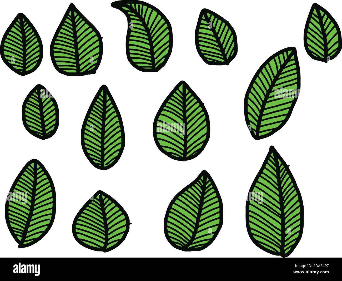 Vektor-Illustration Hand gezeichnete Kritzeleien grüne Blätter Kollektion. Stock Vektor