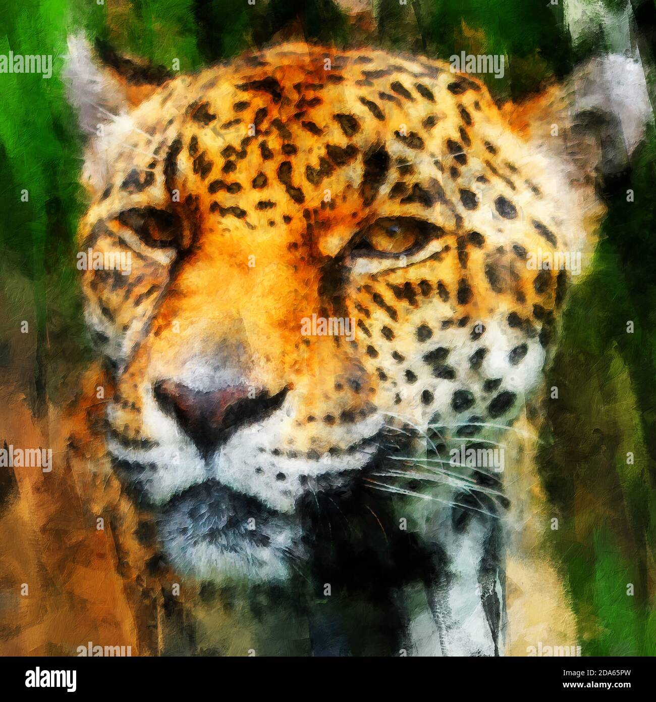 Der jaguar (Panthera onca) Ist eine große felide Art und das einzige erhaltene Mitglied Der Gattung Panthera aus Amerika Stockfoto