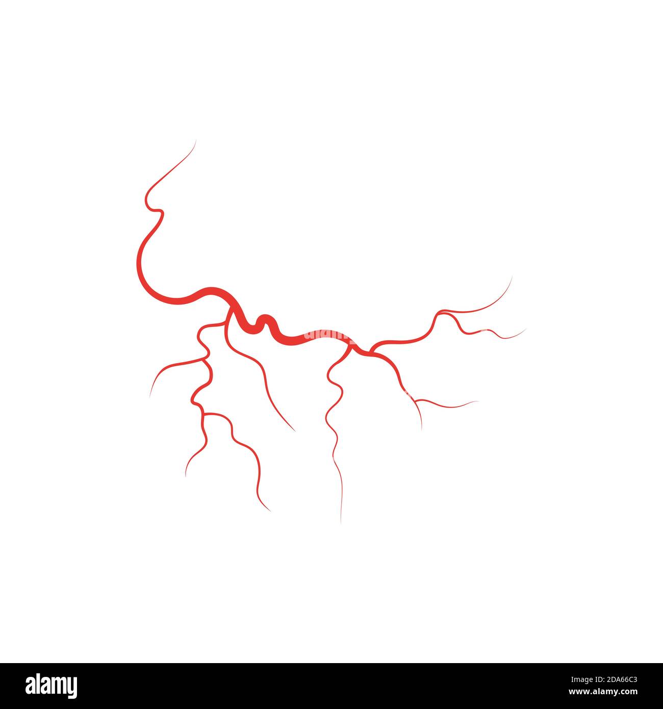 Abbildung des Vektorgrafiks der menschlichen Venen mit roten Blutgefäßen Stock Vektor
