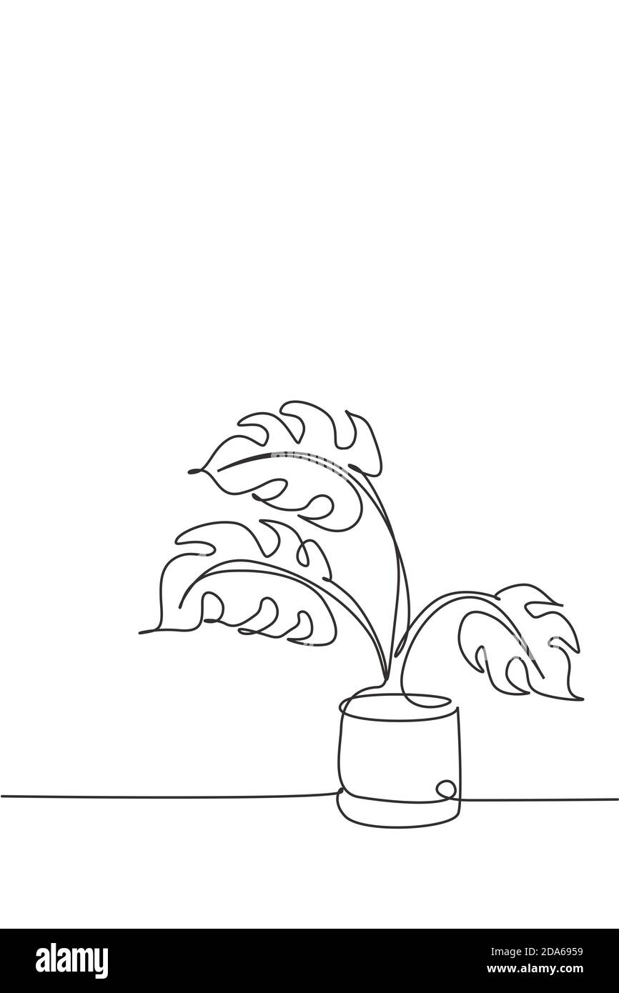 Eine einzelne Linie Zeichnung Monstera Blatt in Topf Vektor-Illustration.  Tropisches Blatt minimalistischer Stil, Blumenmuster Konzept fr Poster,  Wanddekor Stock-Vektorgrafik - Alamy