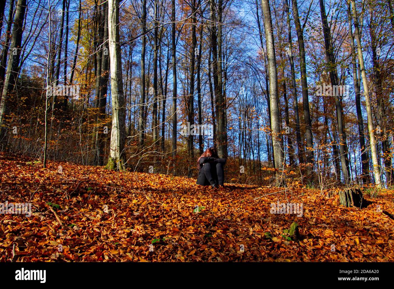 Eine einzige unbekannte Frau, die im Herbstwald sitzt und sie begrubt Kopf in den Händen Stockfoto